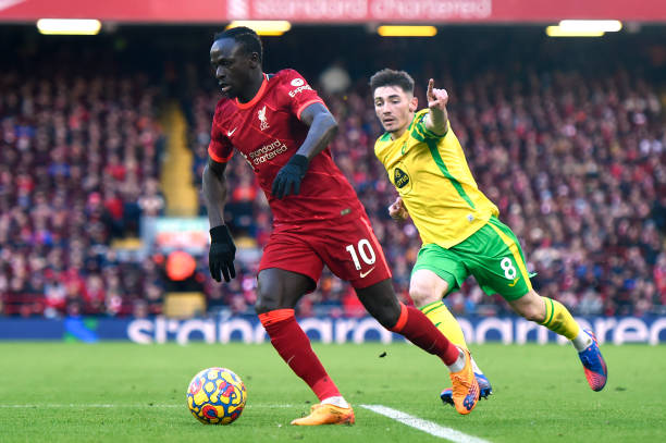 大量观察 大量观察