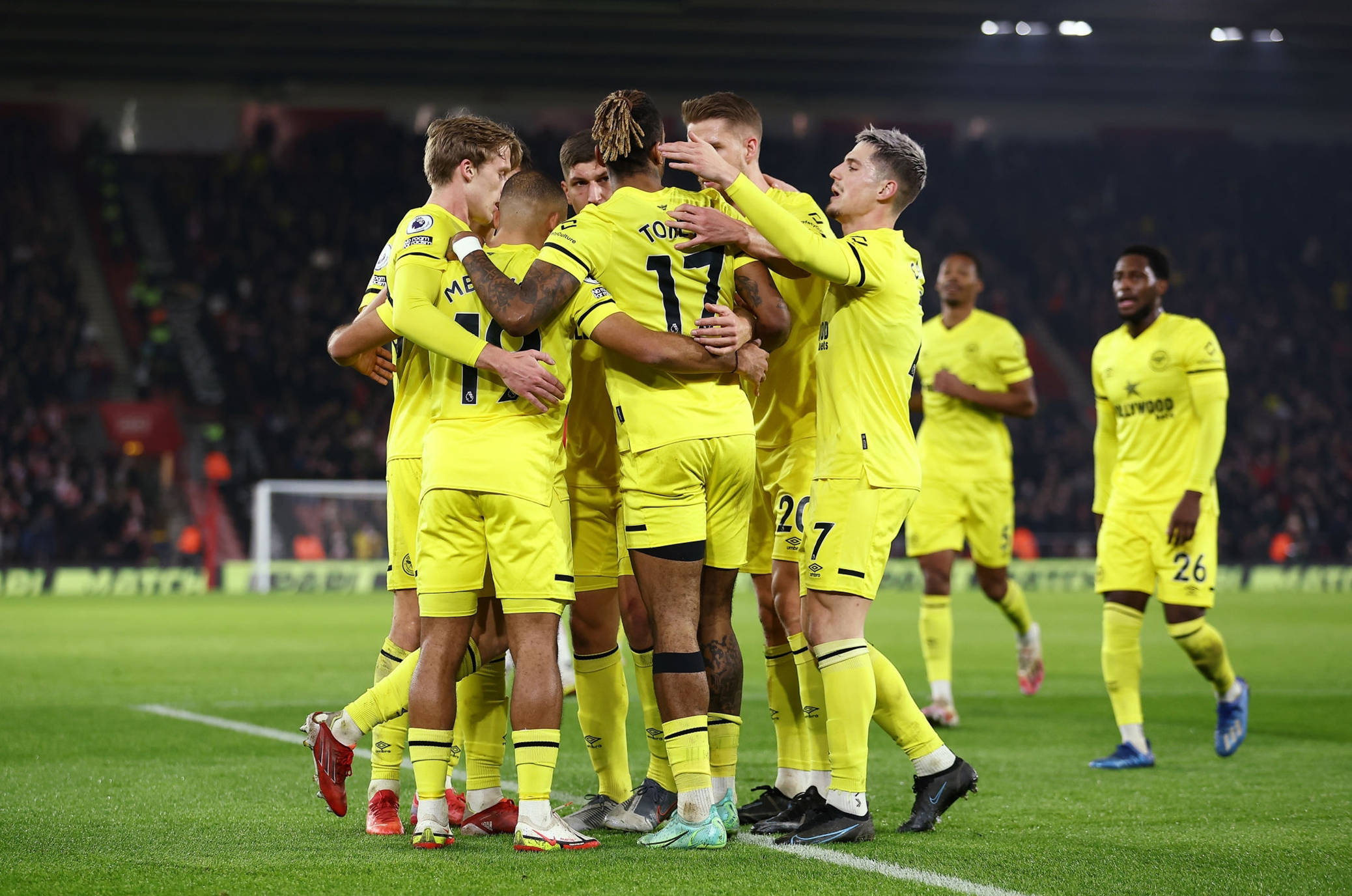 迷们的广泛 迷们的广泛