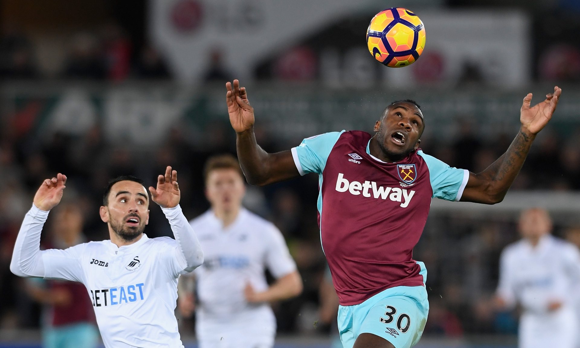 象的机遇 象的机遇